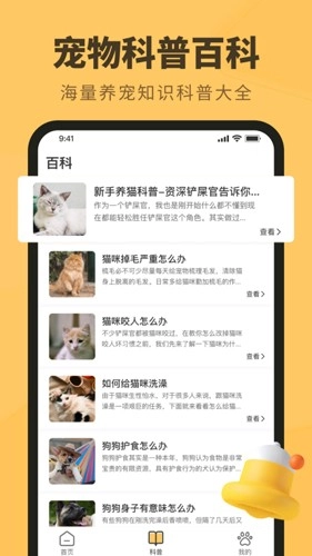 宠本本图3