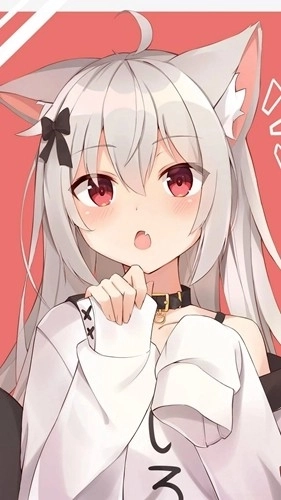 wallpaper4K安卓版