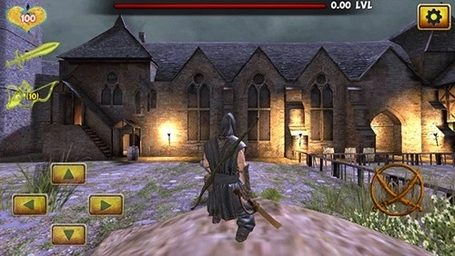 忍者武士刺客英雄最新版截图2