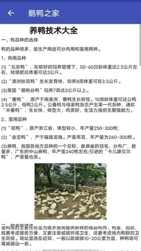 鹅鸭之家最新版