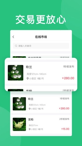 花木源最新版图2