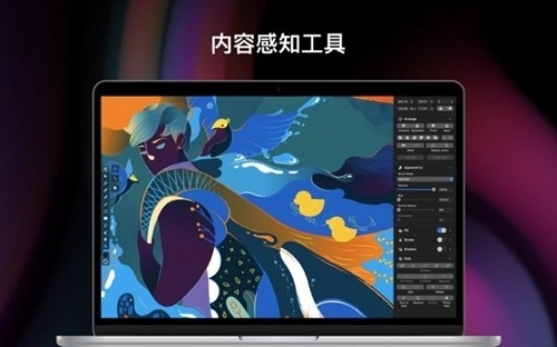 Vectornator安卓版