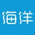 比亚迪海洋