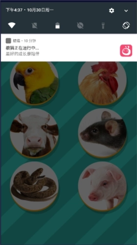 鸡语翻译器安卓版图3