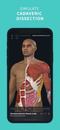 completeanatomy中文版