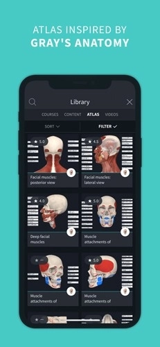 completeanatomy中文版