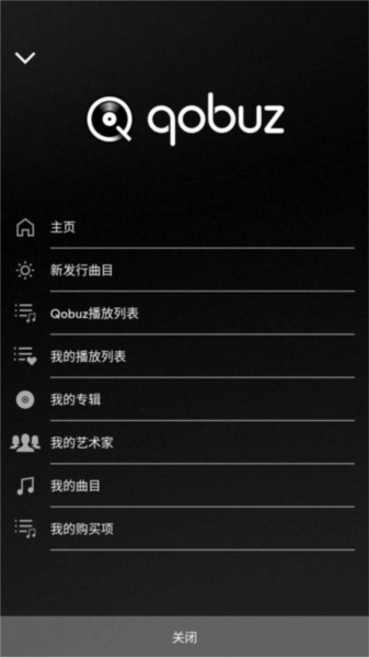 focal naim 图2