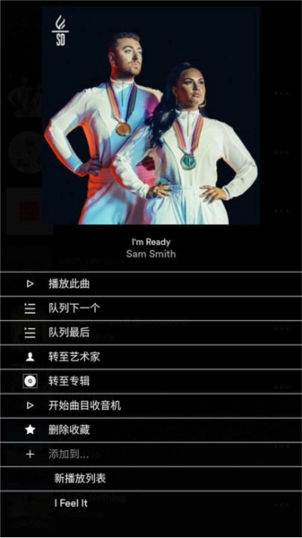 focal naim 图3