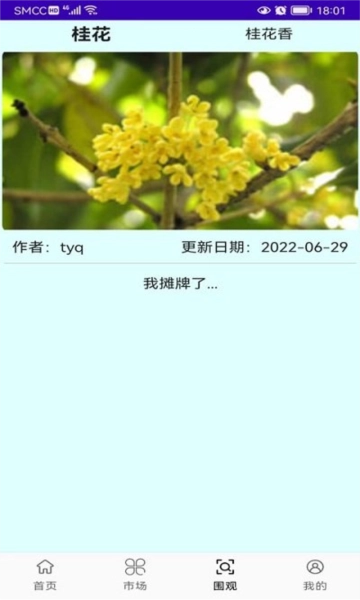 绿植花卉图2
