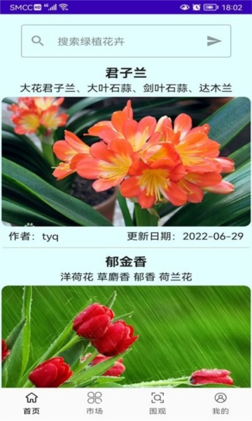 绿植花卉图3