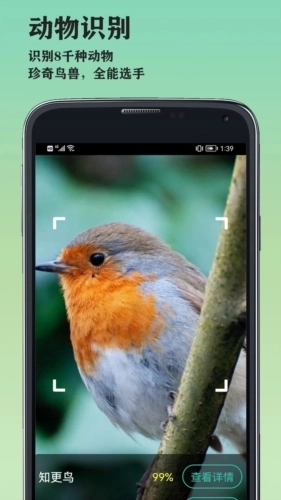 山图AI图片识别大师