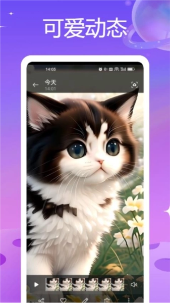 intiLive 图3