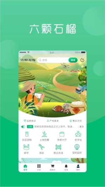 六棵石榴最新版