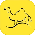 骆驼旅游