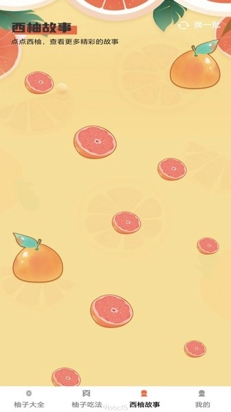 西柚多多图3