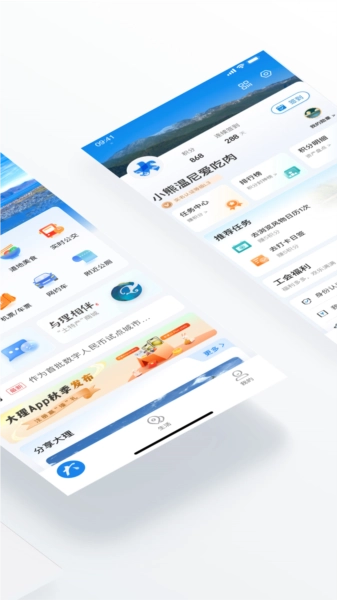 大理图4