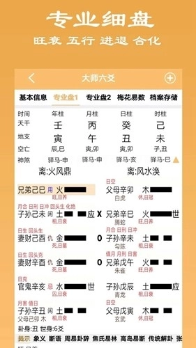 大师六爻软件最新版图1