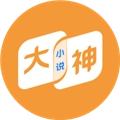大神小说