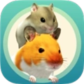 我的仓鼠中文版