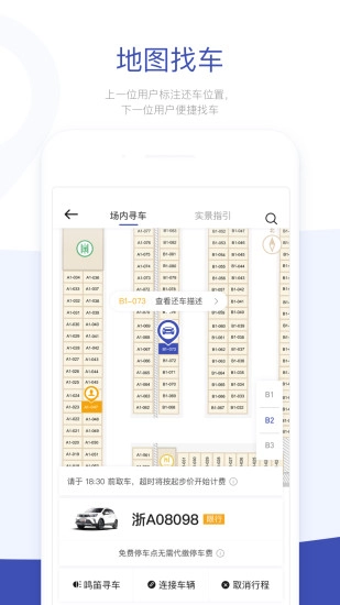carfree图4