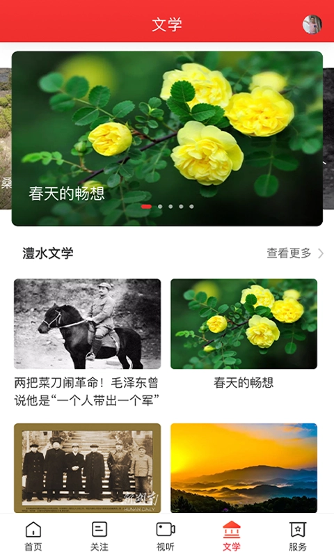 新桑植图4