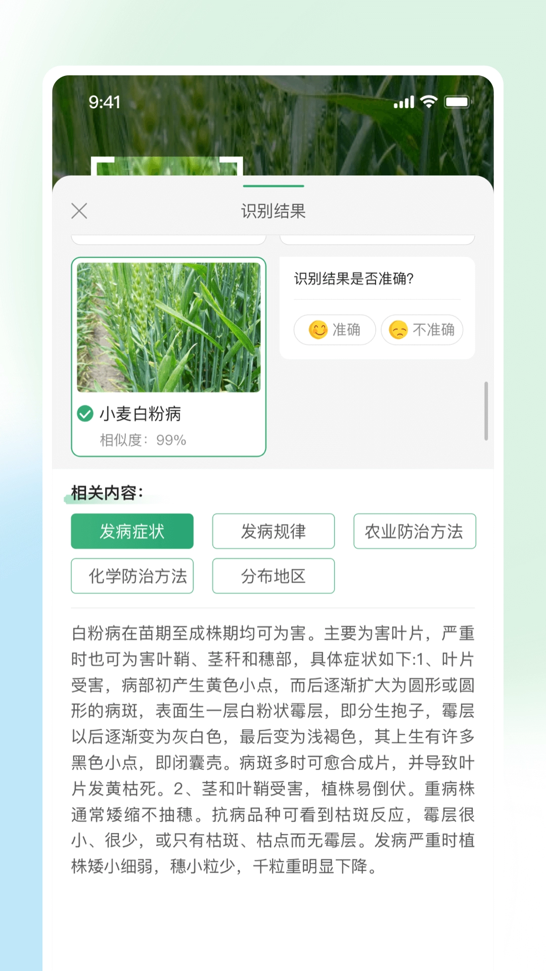 耘苗拍图5