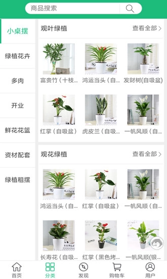 花总管图2
