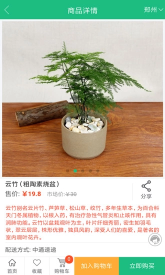 花总管图4