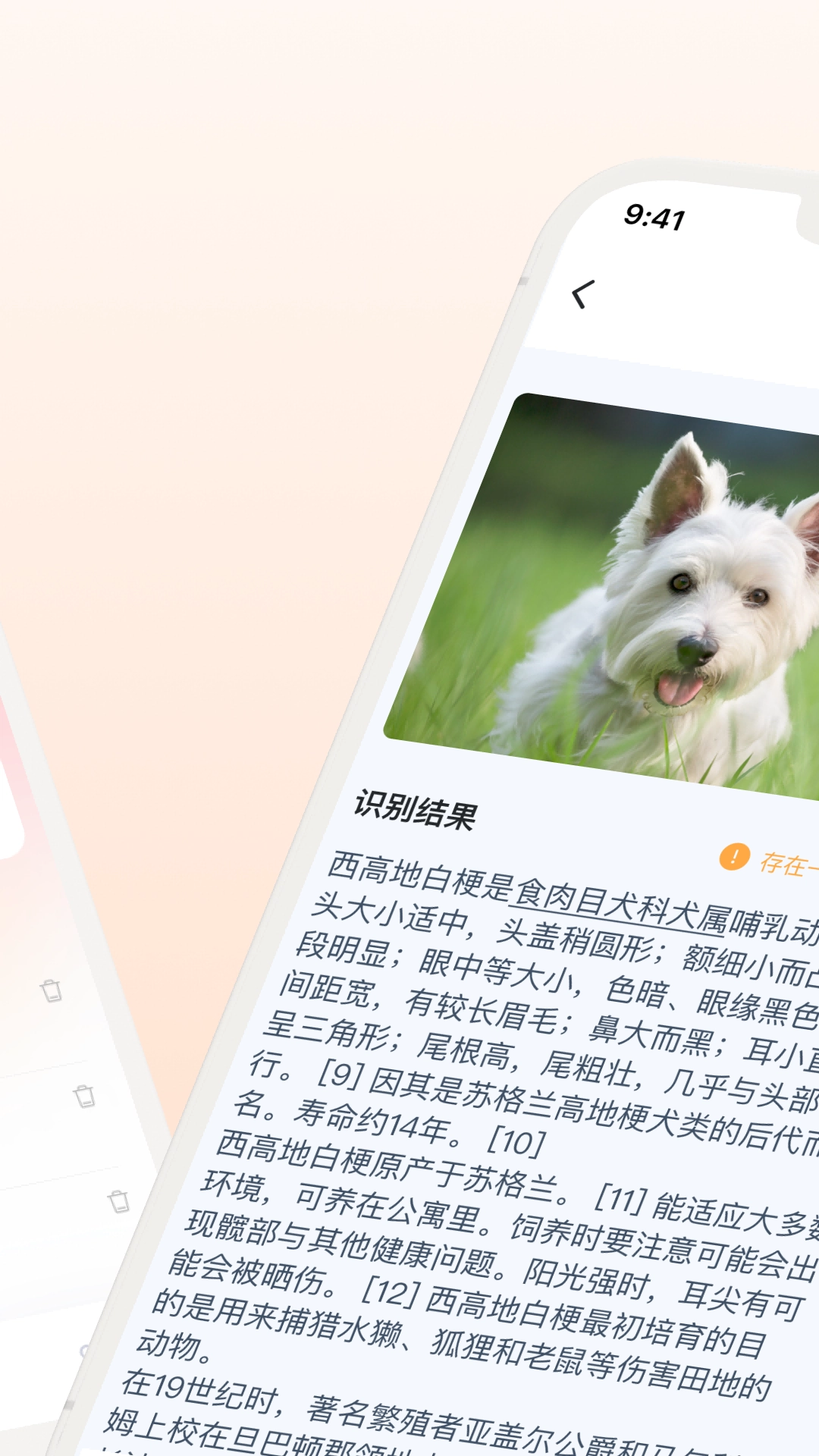口袋识别图2