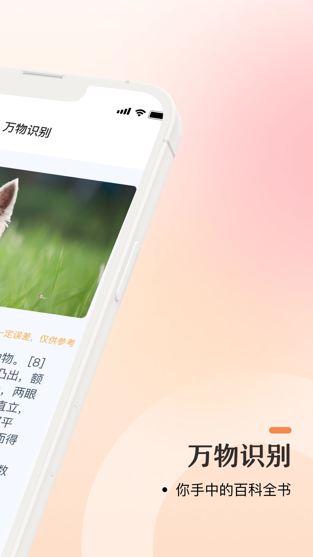 口袋识别图3
