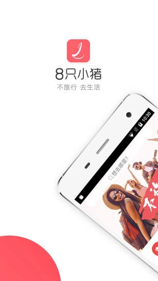 8只小猪