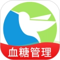 先锋鸟
