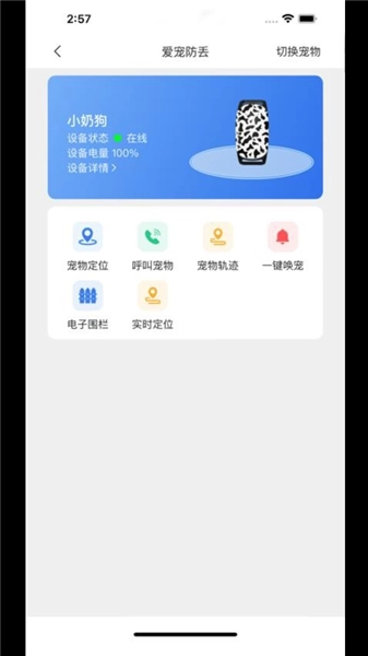 云小宠