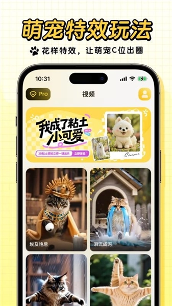 宠玩图3