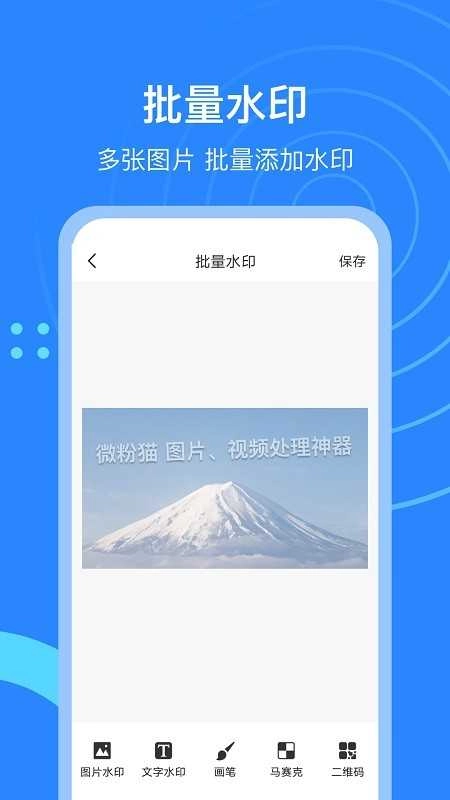 微粉猫(4)