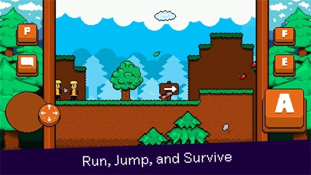 最后的金刚鹦鹉图2