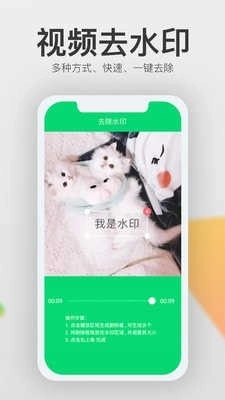 视频一键去水印