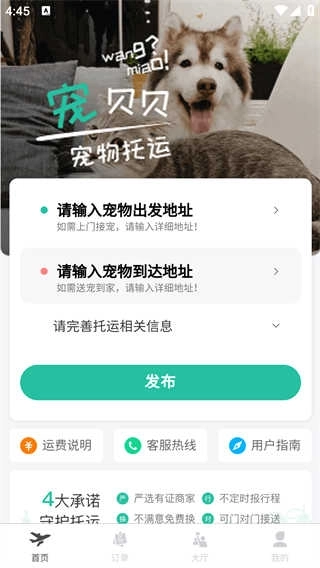 宠贝贝宠物托运图3