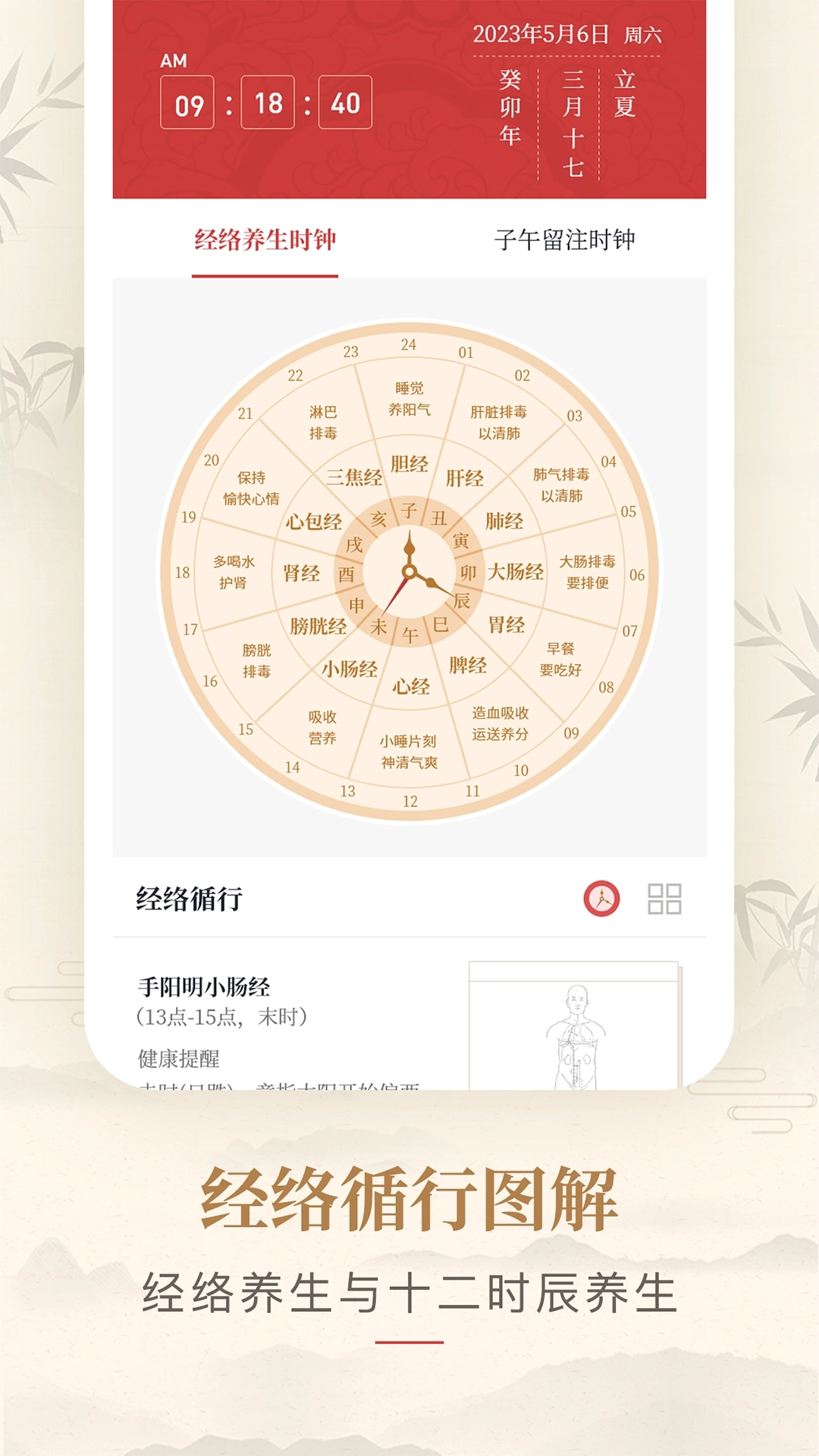 人体穴位图解纯净版图3