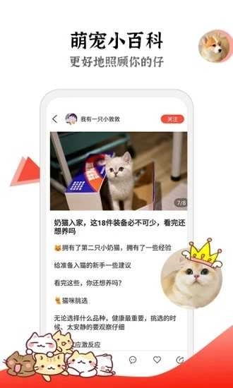 猫猫社区