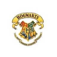 魔法抢购助手去广告激活版