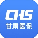 甘肃医保服务平台