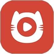 野猫视频纯净版