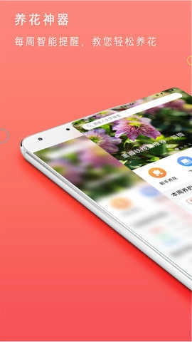 花信一对一聊天图2