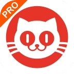 猫眼电影专业版