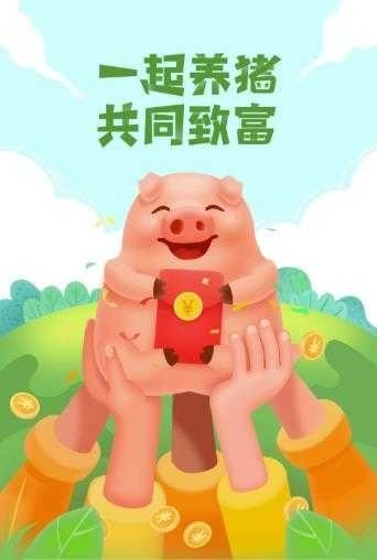 一起来养猪赚钱