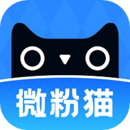 微粉猫