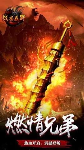 战龙在野果盘版图3