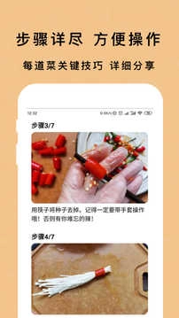 煮厨家常菜谱(2)