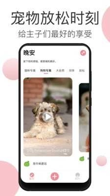 宠物音乐最新版图3